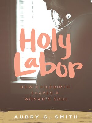 cover image of Holy Labor